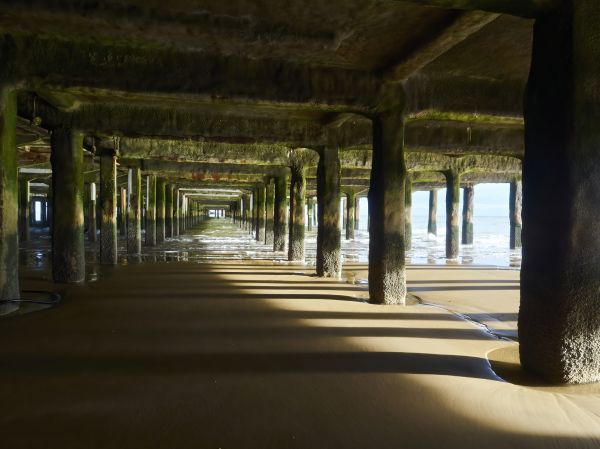 Cost of Pier And Beam Leveling in West Fargo